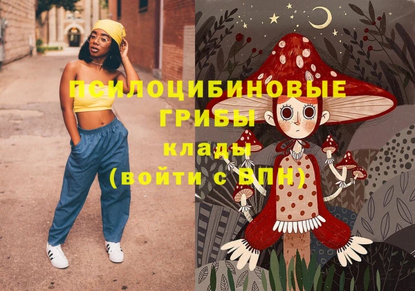 хмурый Козельск